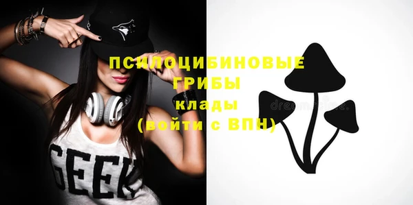 шишки Армянск