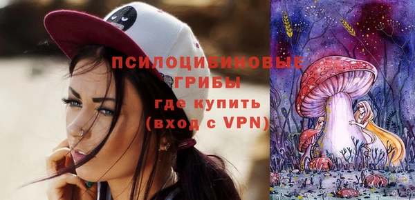 шишки Армянск