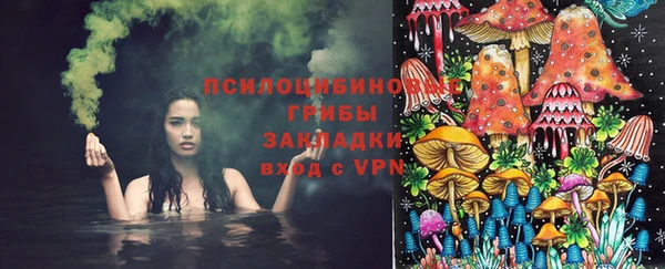 а пвп мука Алзамай