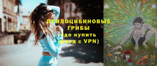 амф Алексин