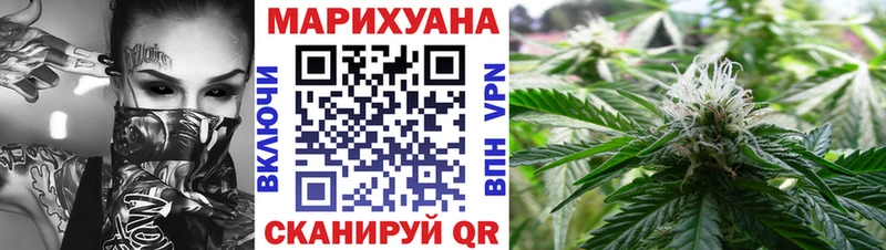 где можно купить   Ачхой-Мартан  Шишки марихуана гибрид 